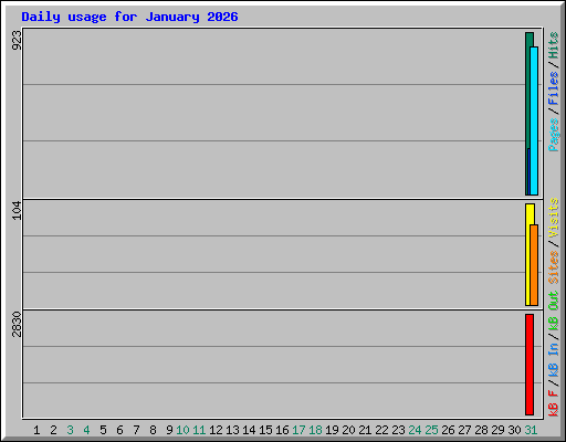 Daily usage for January 2026